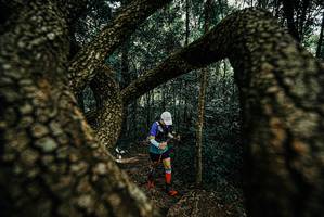 BIB: 
                            <button type="button" onclick="openModal(25671405)" class="btn btn-primary btn-sm float-right btn-popup" data-toggle="modal" data-target=".modal-high-quality">
                        <i class="fas fa-shopping-cart"></i> Add to Cart
                    </button>
                                            <button type="button" onclick="isThisMe(25671405, true)" class="btn btn-success btn-sm float-right btn-popup btn-isme hidden" data-toggle="tooltip" data-placement="bottom" title="นี่คือรูปของคุณใช่ไหม คลิกที่นี่เพื่อเอาเข้าอัลบั้ม">
                        <i class="fas fa-plus"></i> Add to album
                    </button>
                    <button type="button" onclick="isThisMe(25671405, false)" class="btn btn-warning btn-sm float-right btn-popup btn-isnotme hidden">
                        <i class="fas fa-ban"></i> Remove from album
                    </button>